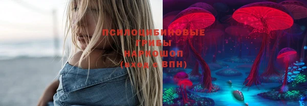 PSILOCYBIN Беломорск