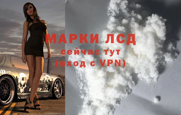 PSILOCYBIN Беломорск
