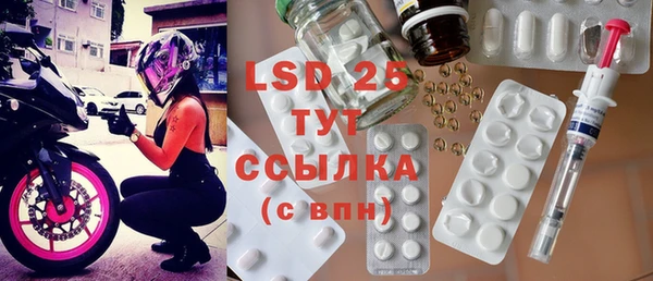PSILOCYBIN Беломорск